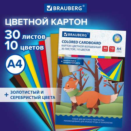 Цветной картон Brauberg набор А4 для школы матовый 30 листов 10 цветов в папке