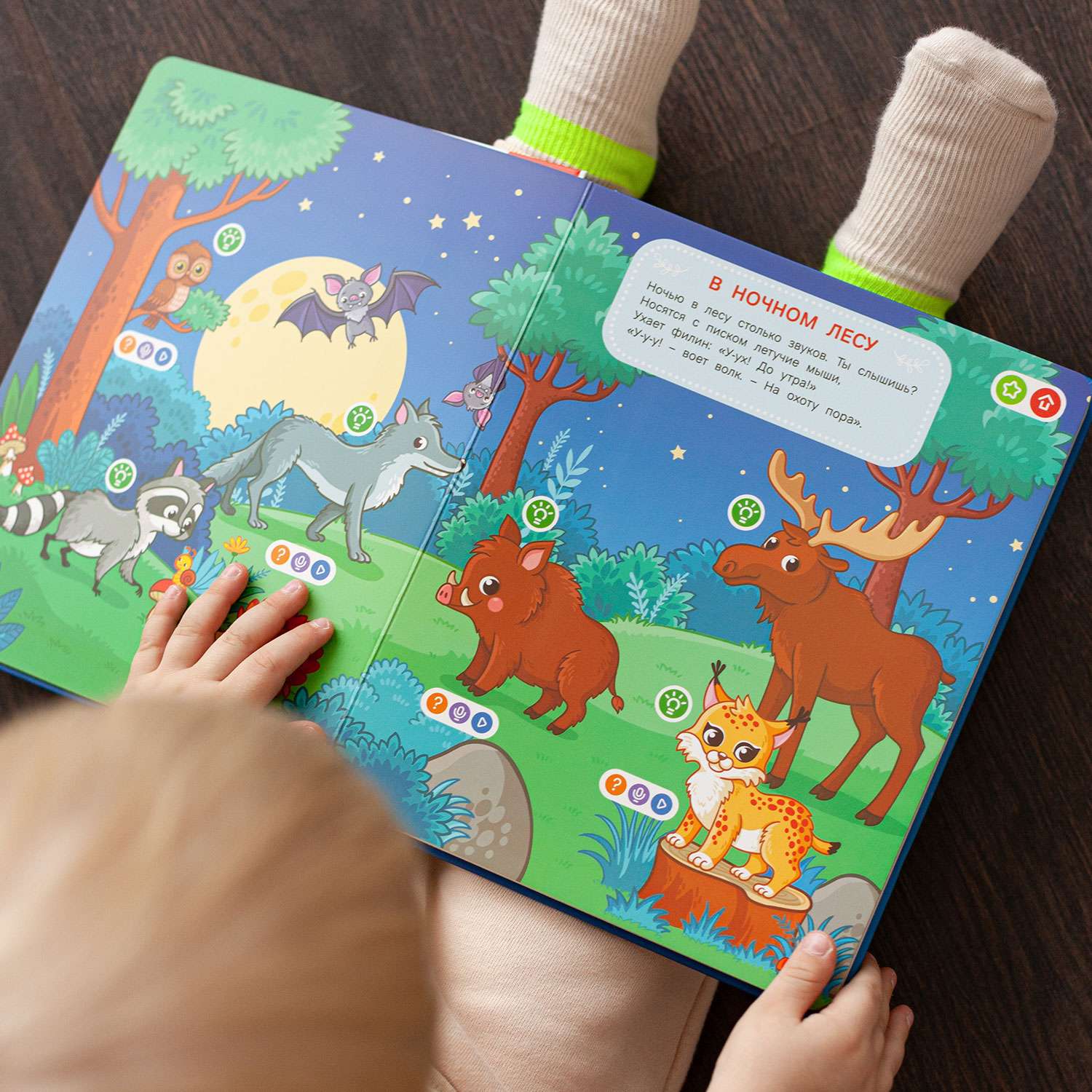 Интерактивная книга BertToys Животные для логопедических игрушек - фото 17