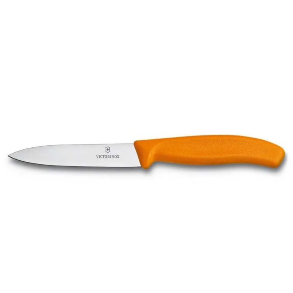 Нож кухонный Victorinox Swiss 6.7706.L119 100мм - фото 1