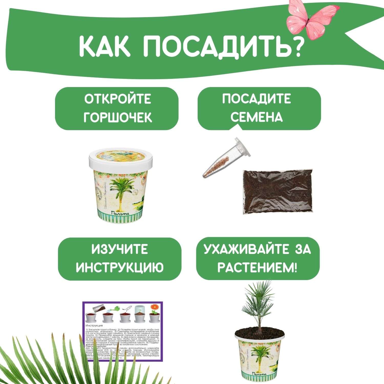 Набор для выращивания Rostok Visa Пальма - фото 4