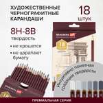 Карандаши простые Brauberg чернографитные профессиональные разной твердости 8H-8B набор 18 штук