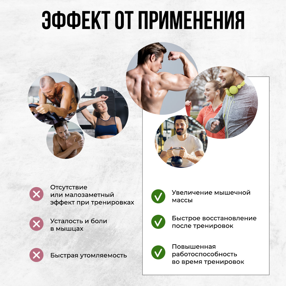 Креатин Animal Creatine Powder 500 г - фото 4