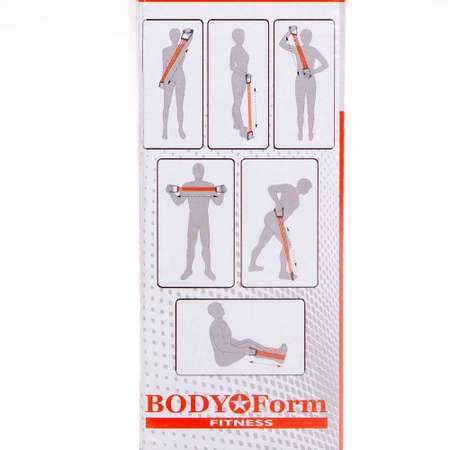 Эспандер плечевой Body Form BF-ESH01 170-180см/12кг