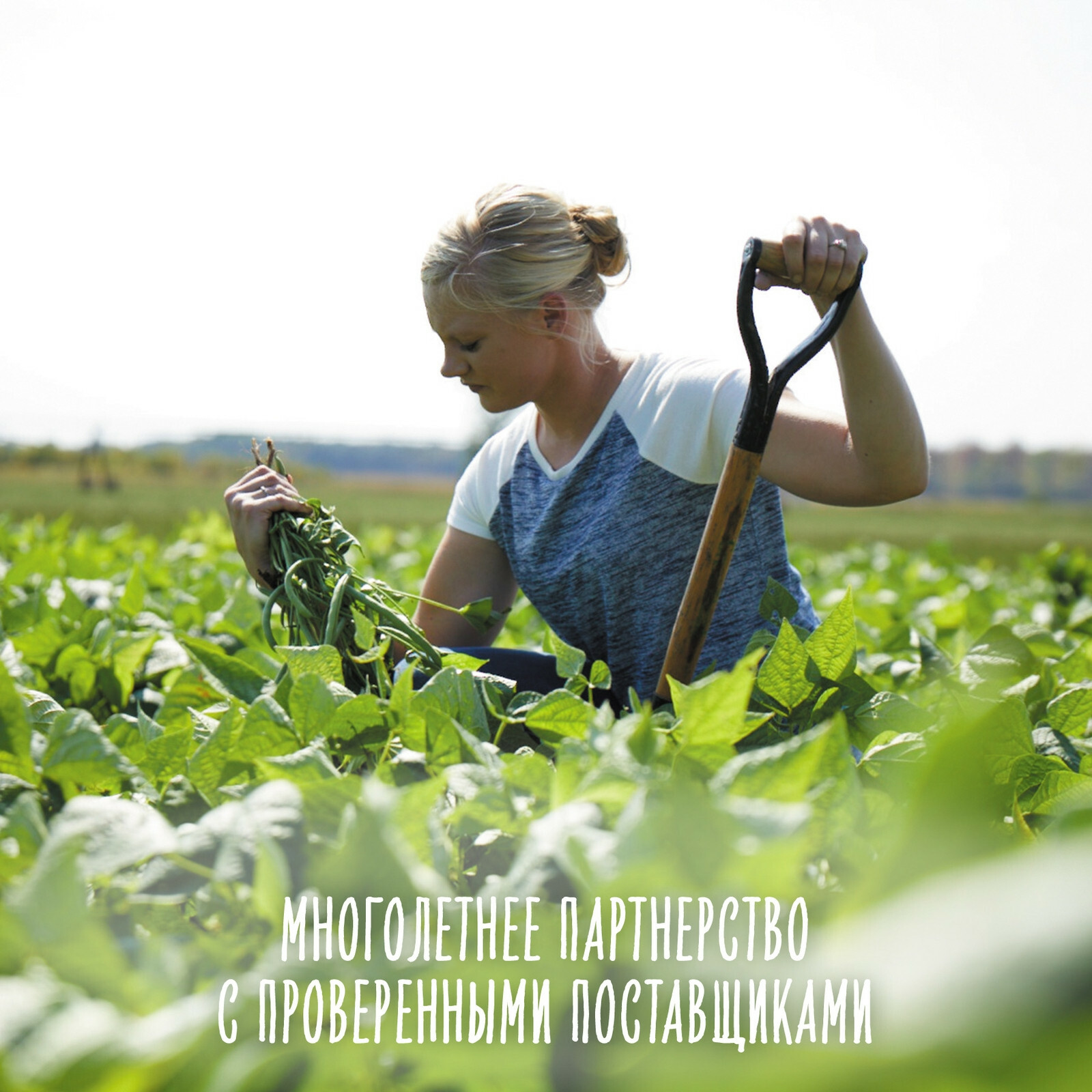 Пюре Gerber банан-черника-злаки-йогурт 90г с 8месяцев - фото 5