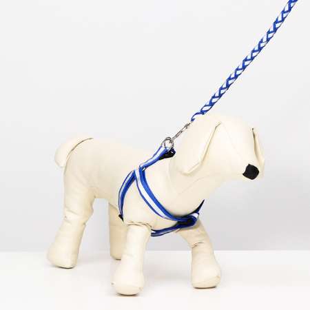 Комплект для собаки Пижон «Плетенка» флюорисцентный поводок 115 х 1 см и шлейка 32-48 см синий