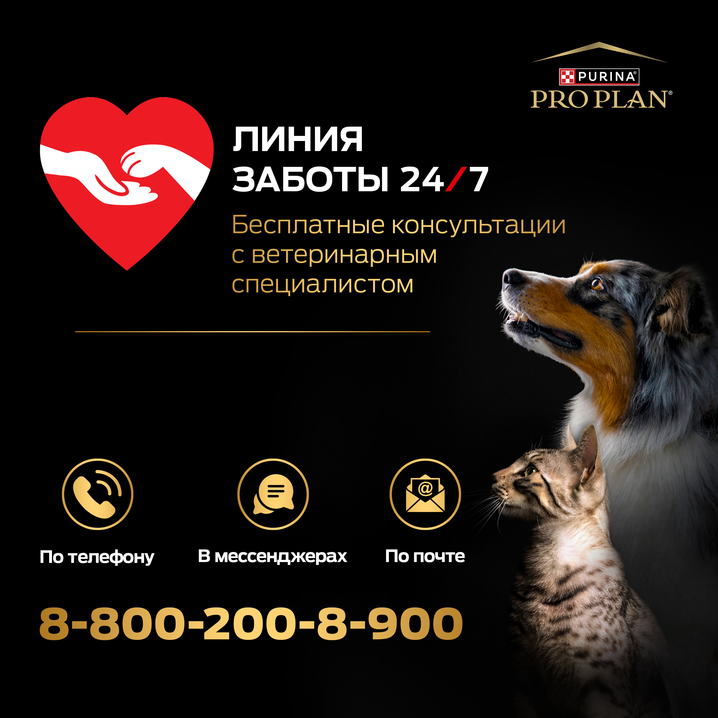 Корм для взрослых собак PRO PLAN 2.5кг+500г с лососем для собак мелких пород с чувствительной кожей - фото 13