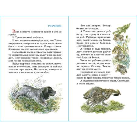 Книга Самовар Рассказы про зверей и птиц Е Чарушин