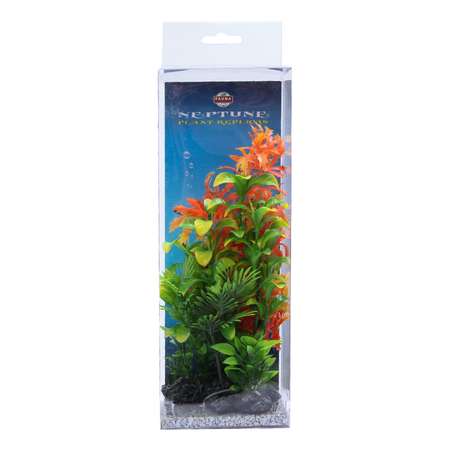 Растение для аквариума FAUNA Композиция-38 FIPP-0139