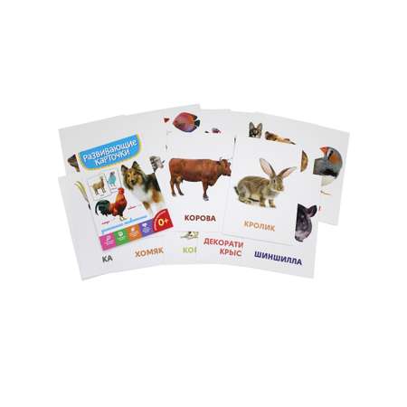 Карточки развивающие Проф-Пресс Домашние животные