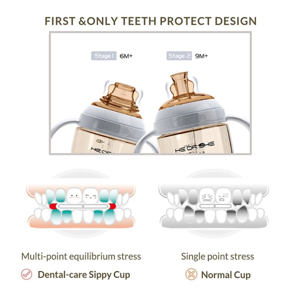 Поильник детский HEORSHE Dental-care Sippy Cup кружка непроливайка от 9 месяцев 280 мл голубой - фото 4