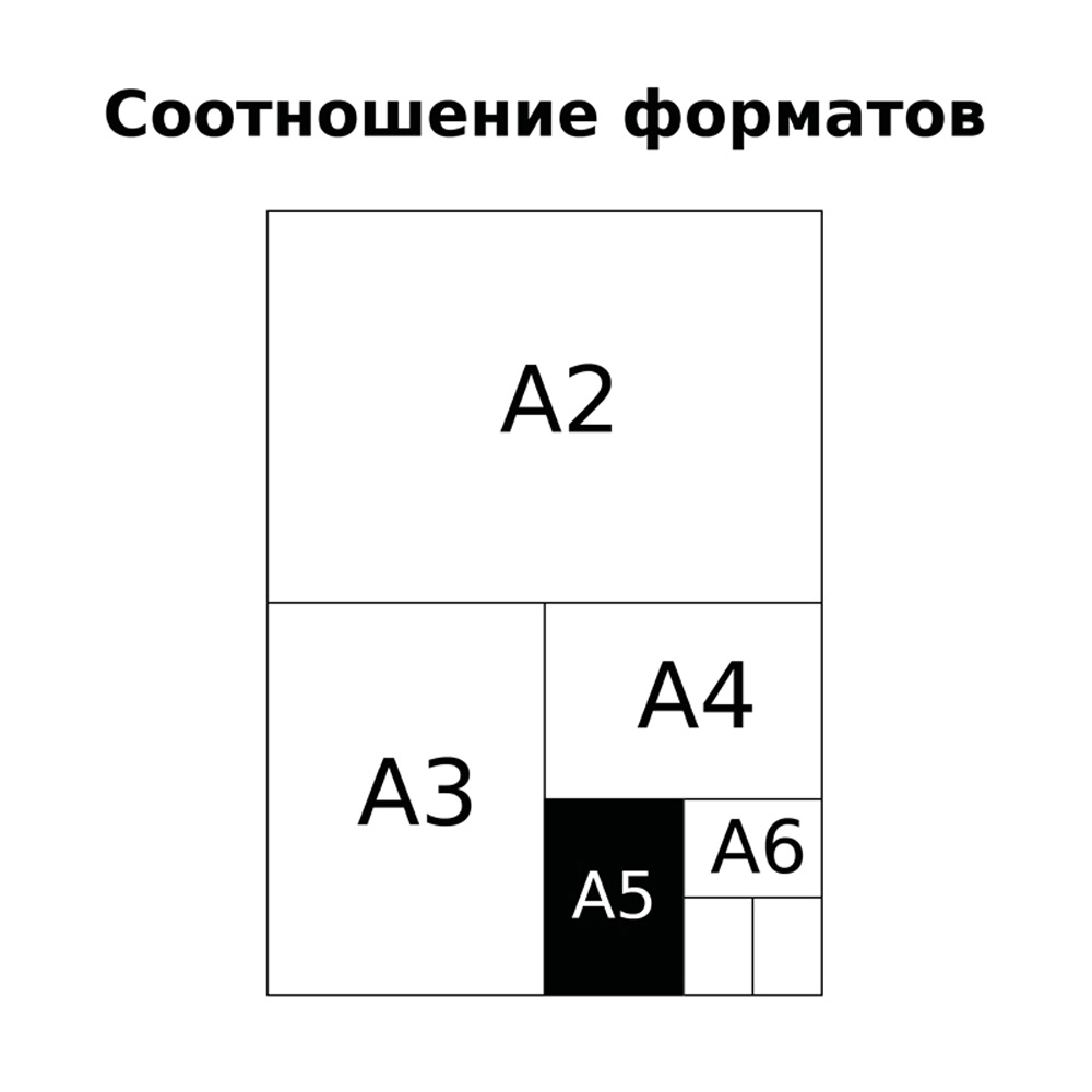 Тетрадь BG 12 л крупная клетка Отличная зеленая 70г/м2 10 шт - фото 6