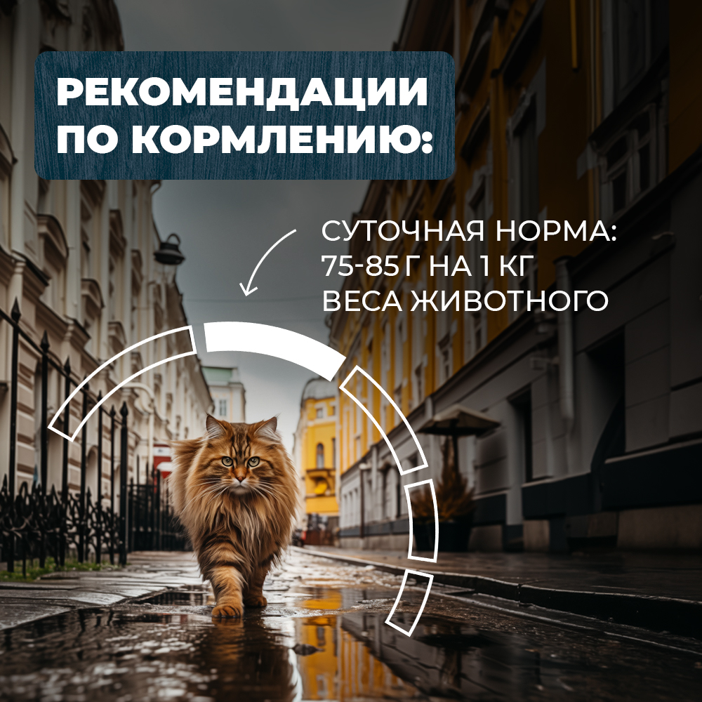 Корм для кошек Родные корма профилактика МКБ По-ленинградски говядина-морковка кусочки в соусе 85г - фото 5