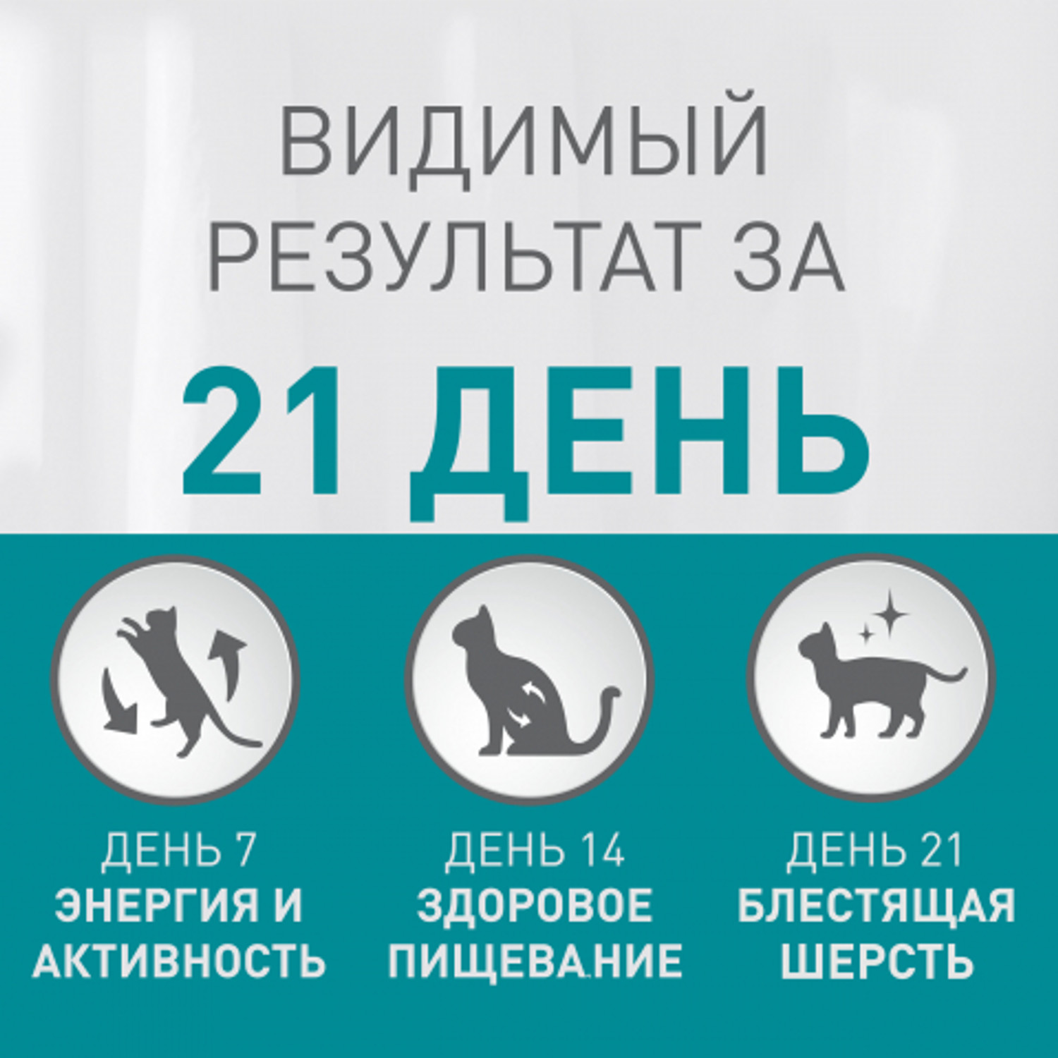 Корм для кошек Purina One для красивой шерсти здоровой кожи с высоким содержанием курицы и цельными злаками сухой 750г - фото 5