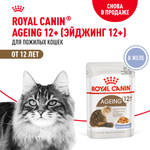 Корм для кошек ROYAL CANIN Ageing 85гр для пожилых 12+ желе пауч