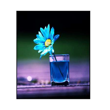 Алмазная мозаика Seichi Голубой цветок в стакане 15х20 см