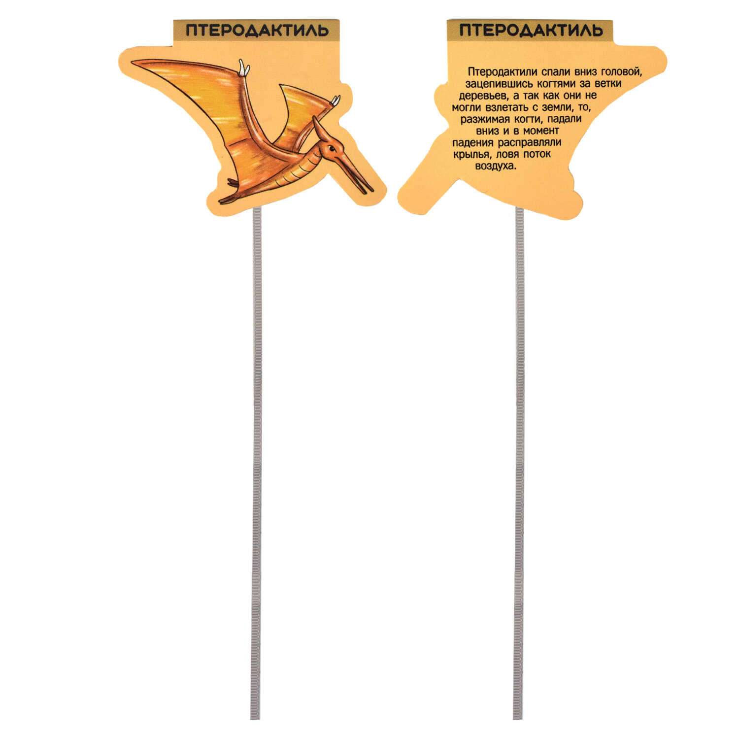 Закладки магнитные ФЕНИКС+ для книг Ляссе Динозавры - фото 2