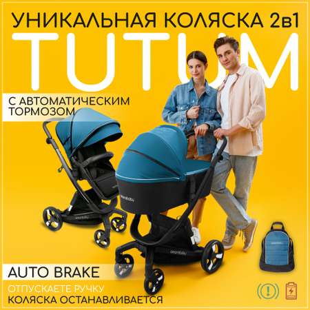 Коляска 2 в 1 Amarobaby Tutum