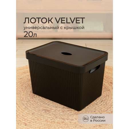 Лоток Econova с крышкой Velvet 38х27х24.9 см 20 л черный