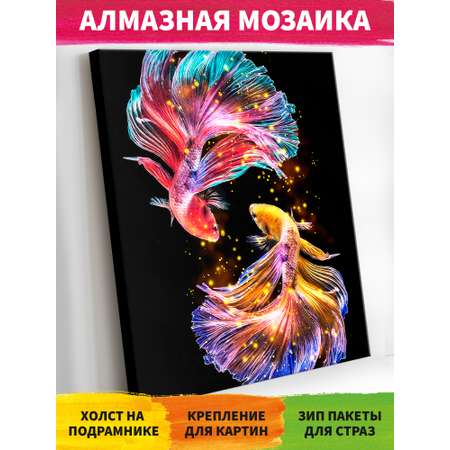 Алмазная мозаика Art on Canvas Рыбы как инь янь холст на подрамнике 40х50 см