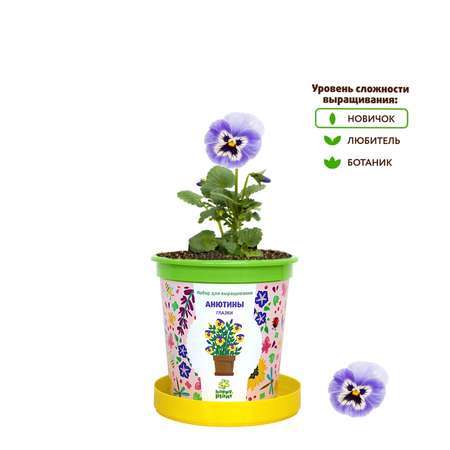 Набор для выращивания Happy Plant Вырасти сам растение в горшочке Анютины глазки