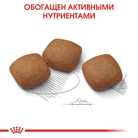 Сухой корм для собак ROYAL CANIN 10 кг (лечебный)