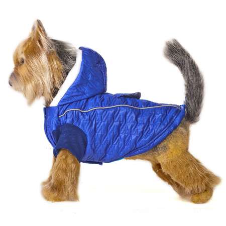 Куртка для собак Happy Puppy Синий иней 2 Синий