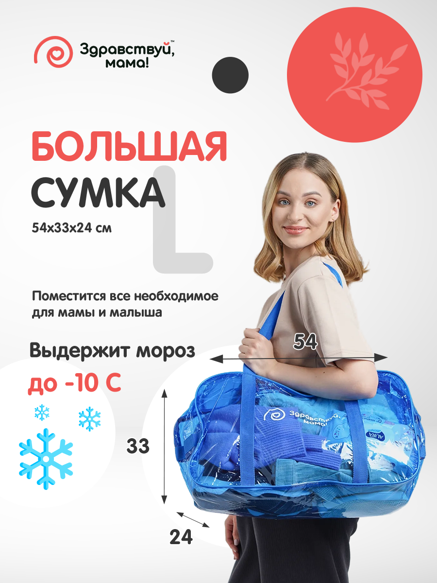 Сумка в роддом Здравствуй мама! Premium Quality 2 шт купить по цене 674 ₽ в  интернет-магазине Детский мир