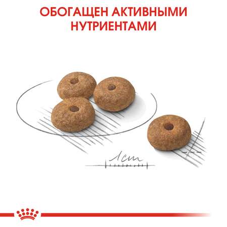 Корм для собак ROYAL CANIN Mini Sterilised стерилизованных 3кг