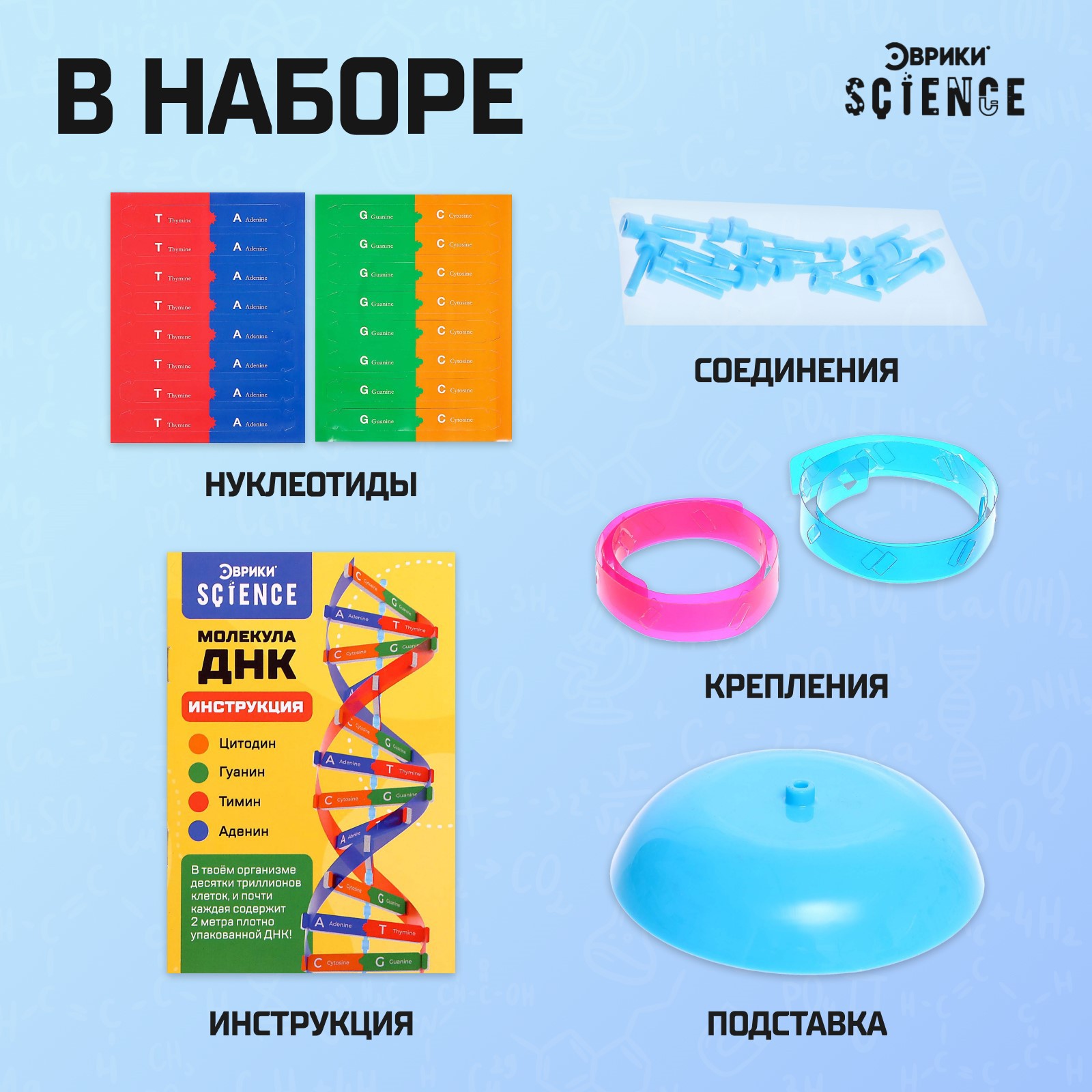 Набор Эврики Для опытов «Молекула ДНК» - фото 3