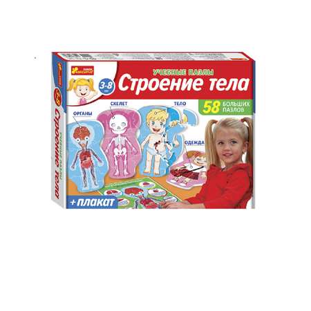 Настольная игра RANOK CREATIVE Строение тела