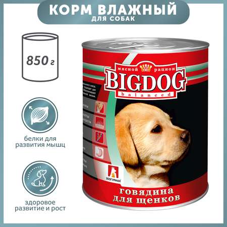 Корм для собак Зоогурман 850г Big Dog Щенки ж/б