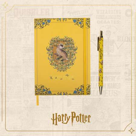 Блокнот Harry Potter Волшебный мир Пуффендуя 160 листов и ручка