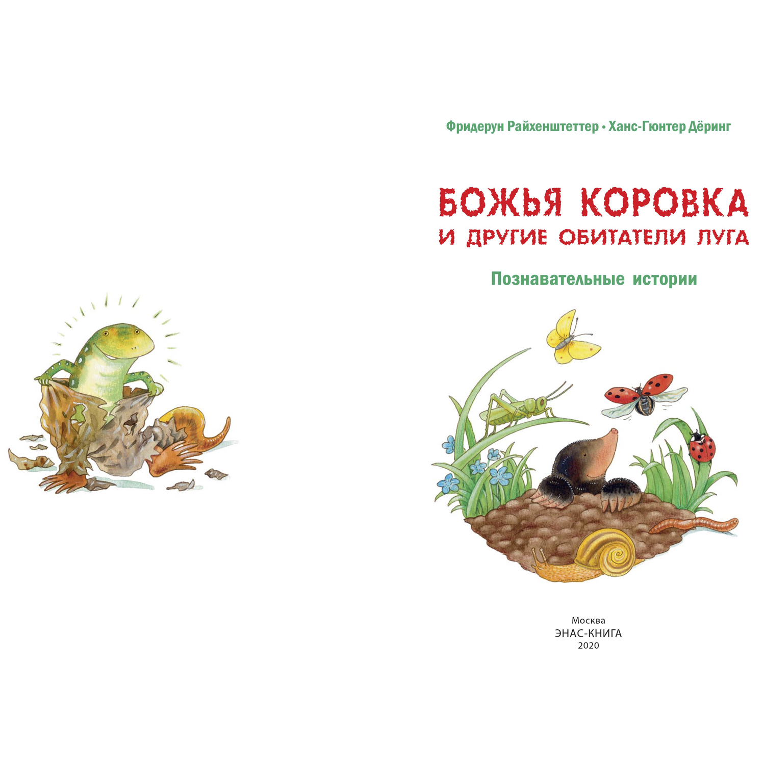 Книга Издательство Энас-книга Божья коровка и другие обитатели луга  Познавательные истории купить по цене 418 ₽ в интернет-магазине Детский мир