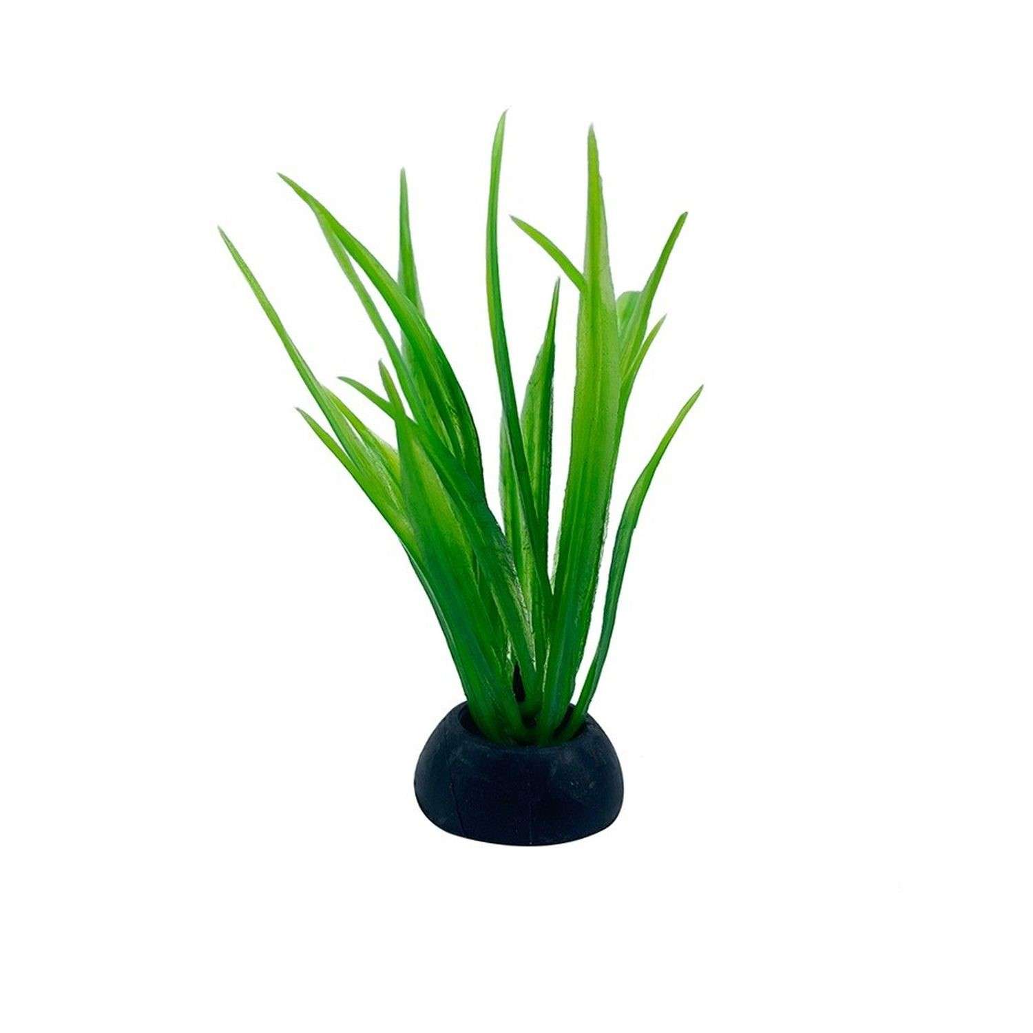 Аквариумное растение Rabizy кустик 2.5х5 см - фото 2