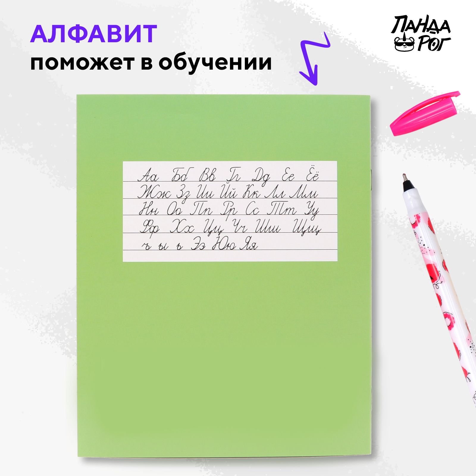 Тетради школьные в линейку ПАНДАРОГ широкую 12 л набор 10 шт картонная обложка зеленые - фото 6