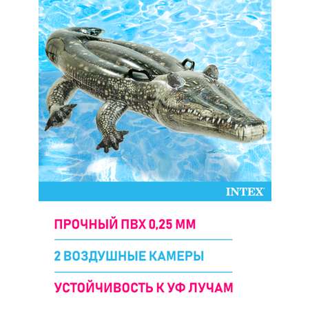 Плотик надувной Intex Аллигатор 168 х 85 см 67x34