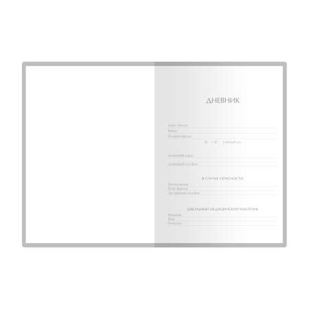 Дневник школьный Bruno Visconti Velvet серый 48 листов А5