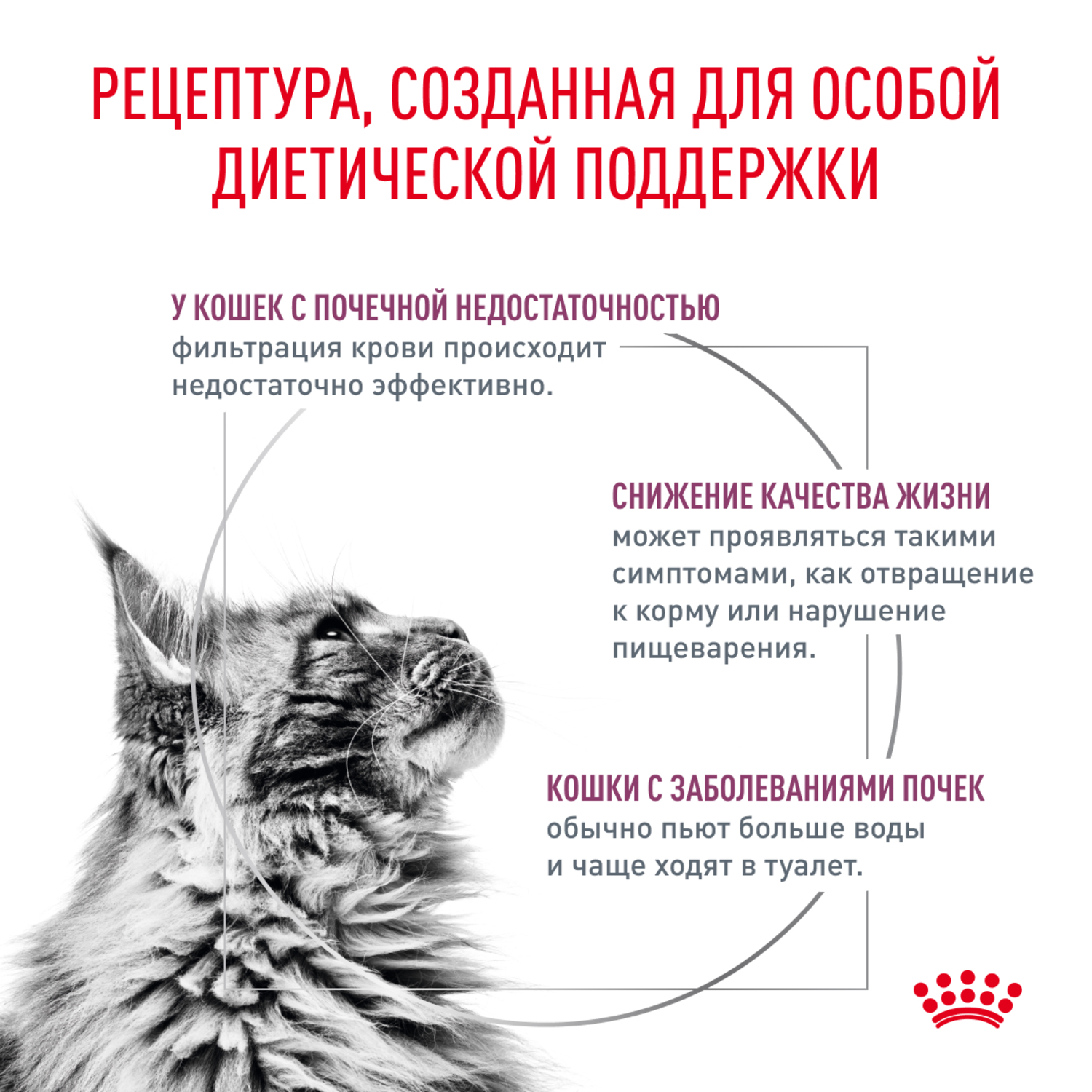 Корм для кошек ROYAL CANIN renal с рыбой 85г пауч - фото 2