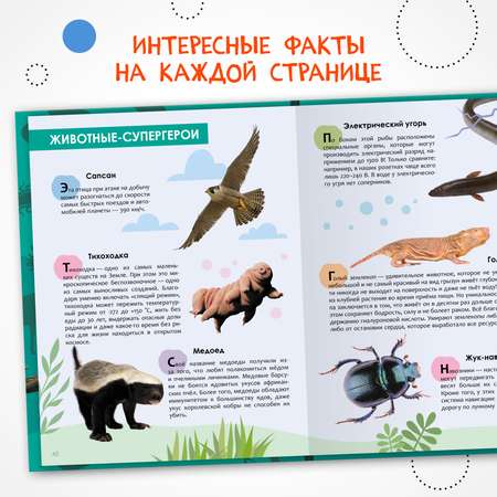 Книга МОЗАИКА kids Детская энциклопедия Животные