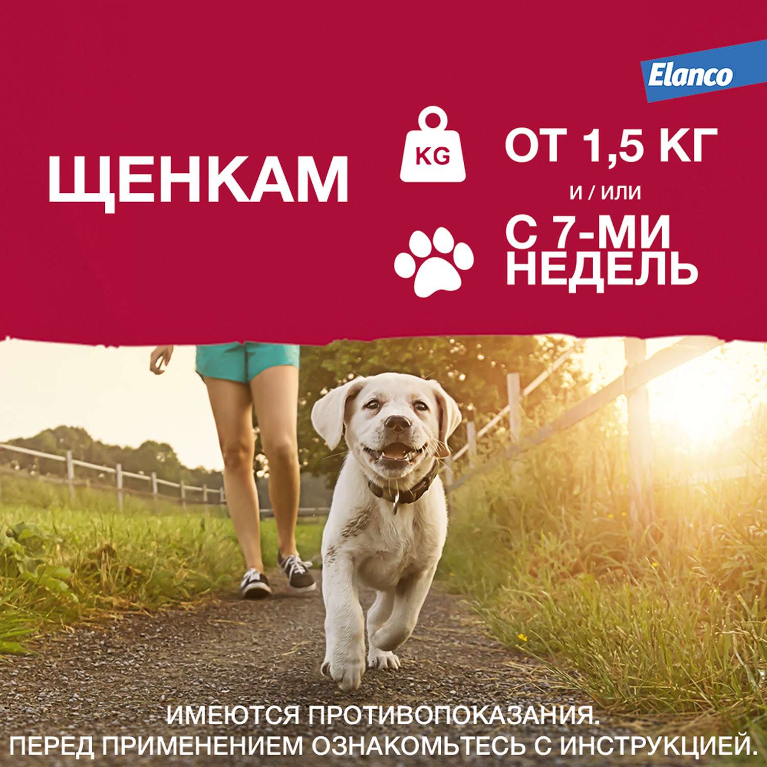 Капли для собак Elanco Адвантикс от 25 до 40 кг против блох и клещей 1пипетка - фото 7