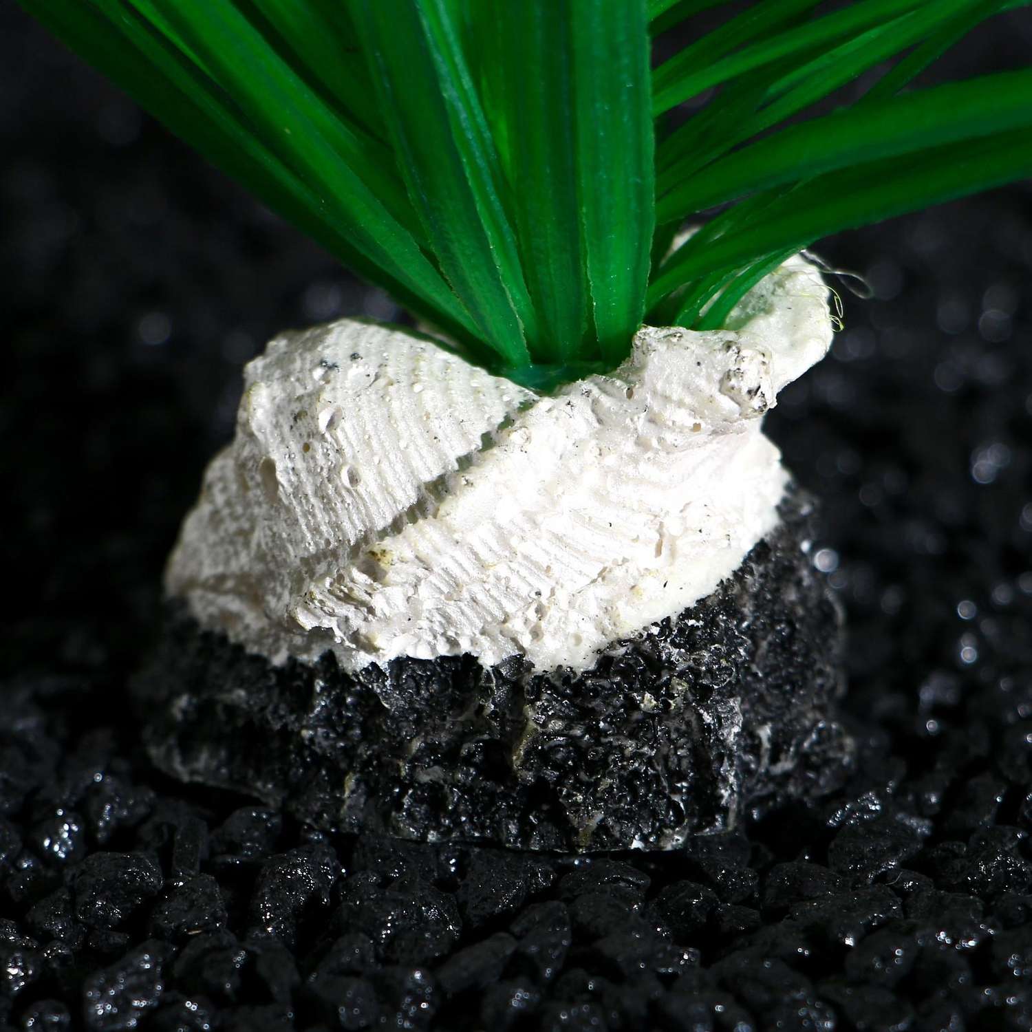 Растение для аквариума Пижон Аква на подставке с ракушкой зелёное - фото 4