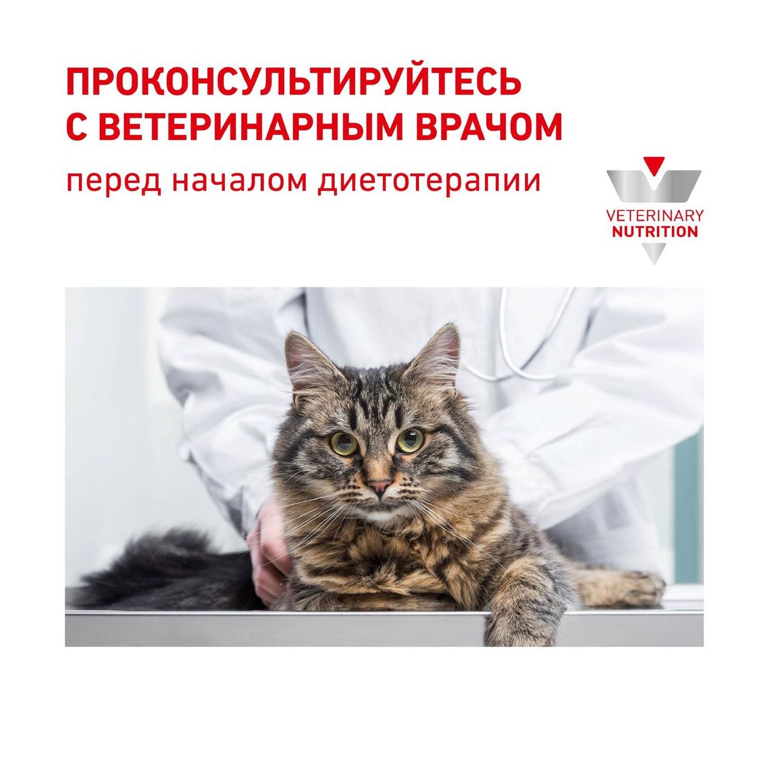 Корм для кошек ROYAL CANIN Renal Select при хронической почечной недостаточности 2кг - фото 8