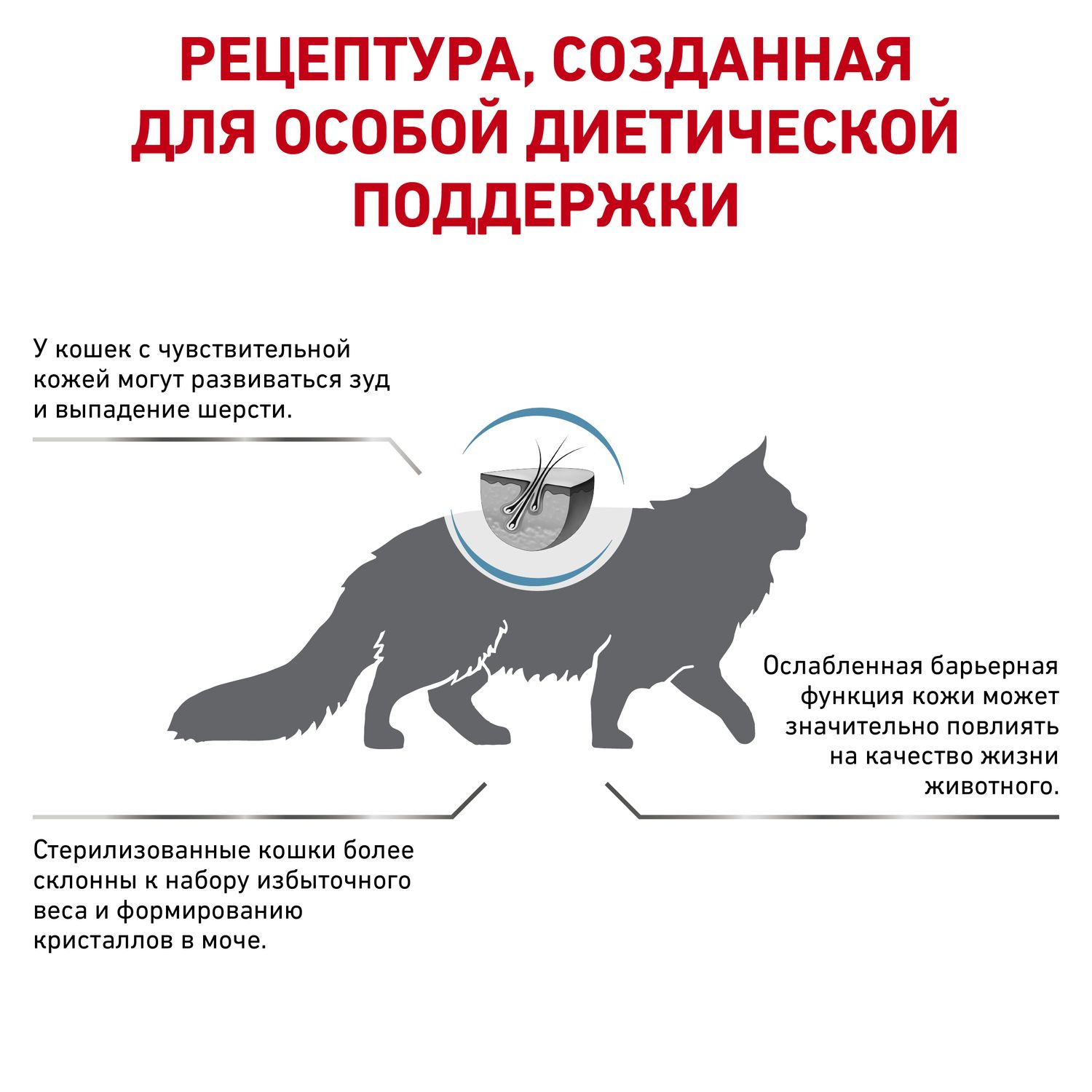 Корм для кошек ROYAL CANIN Skin and Coat Young Feline стерилизованных при  повышенной чувствительности кожи и шерсти 3,5 кг купить по цене 4368 ₽ с  доставкой в Москве и России, отзывы, фото