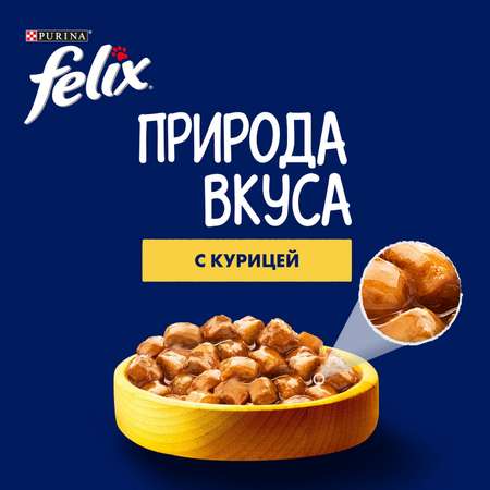 Корм для кошек Felix 75г Природа вкуса для взрослых с курицей в соусе Felix