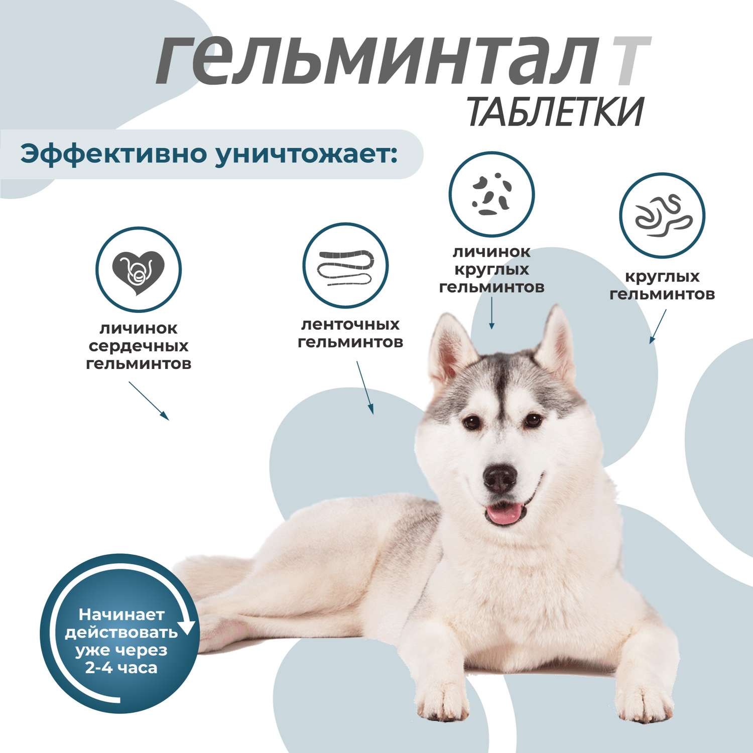 Антигельминтик для собак Гельминтал более 10кг 2шт - фото 3