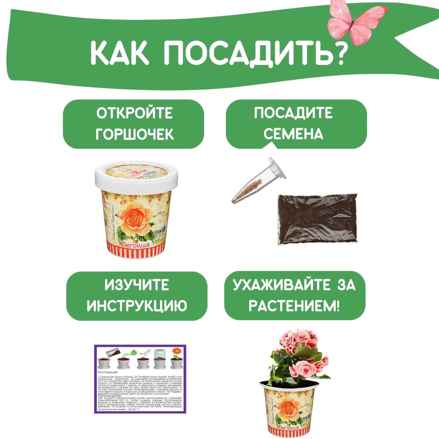 Набор для выращивания растений Rostok Visa Вырасти сам цветок Бегония в подарочном горшке - фото 4