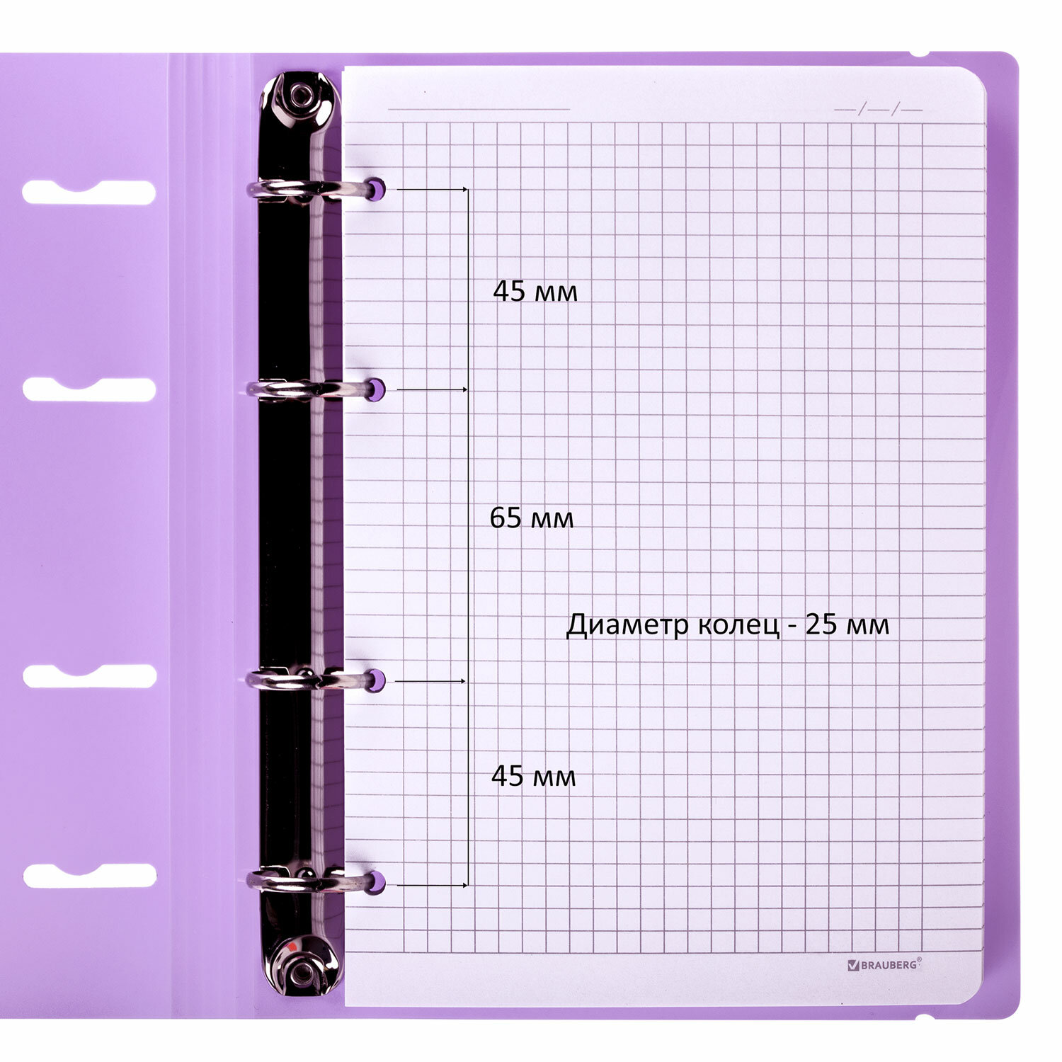 Тетрадь на кольцах Brauberg А5 со сменным блоком 120 листов с резинкой - фото 4