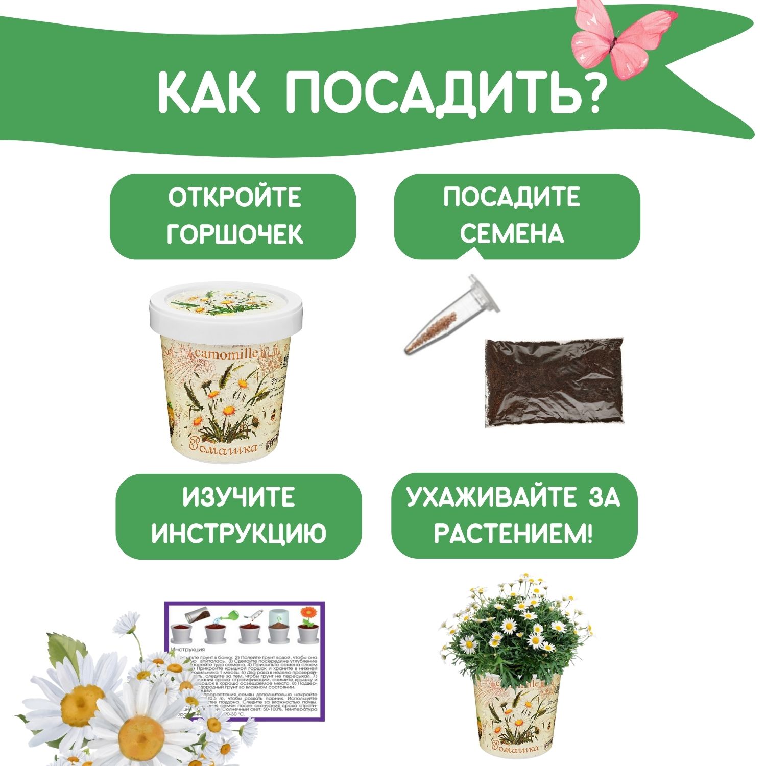 Набор для выращивания Rostok Visa Ромашка - фото 4