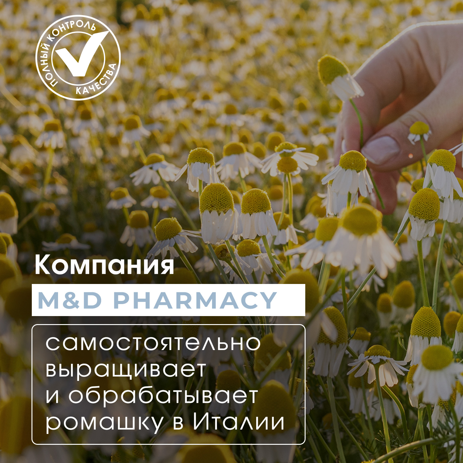 Кондиционер для волос Camomilla BLU Восстановление и гладкость волос Hair conditoner disentangle repair 200мл - фото 7