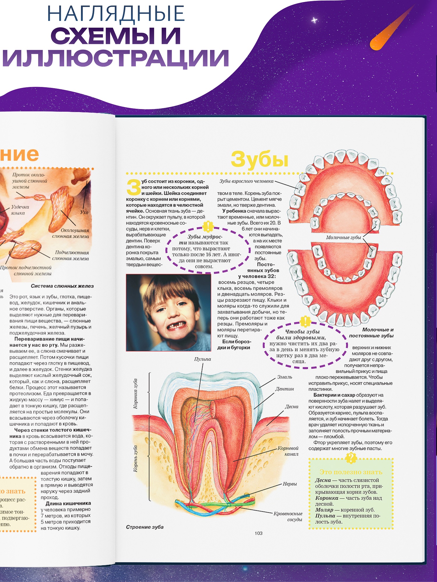 Книга для детей Харвест Большая энциклопедия школьника - фото 9